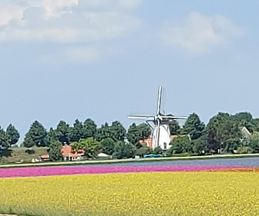 Apartamento De Nieuwe Stal Scherpenisse Exterior foto
