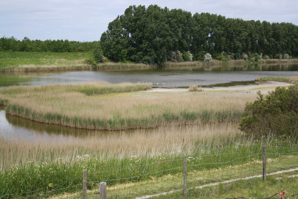 Apartamento De Nieuwe Stal Scherpenisse Exterior foto