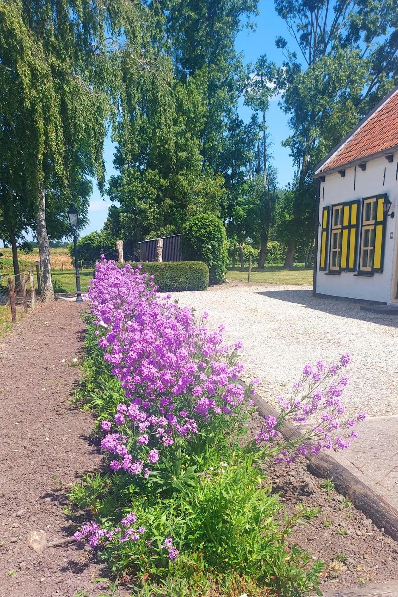 Apartamento De Nieuwe Stal Scherpenisse Exterior foto